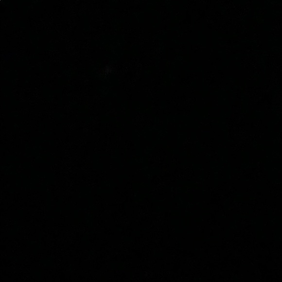 Meet your Posher, Nikki - Picture 1 of 1